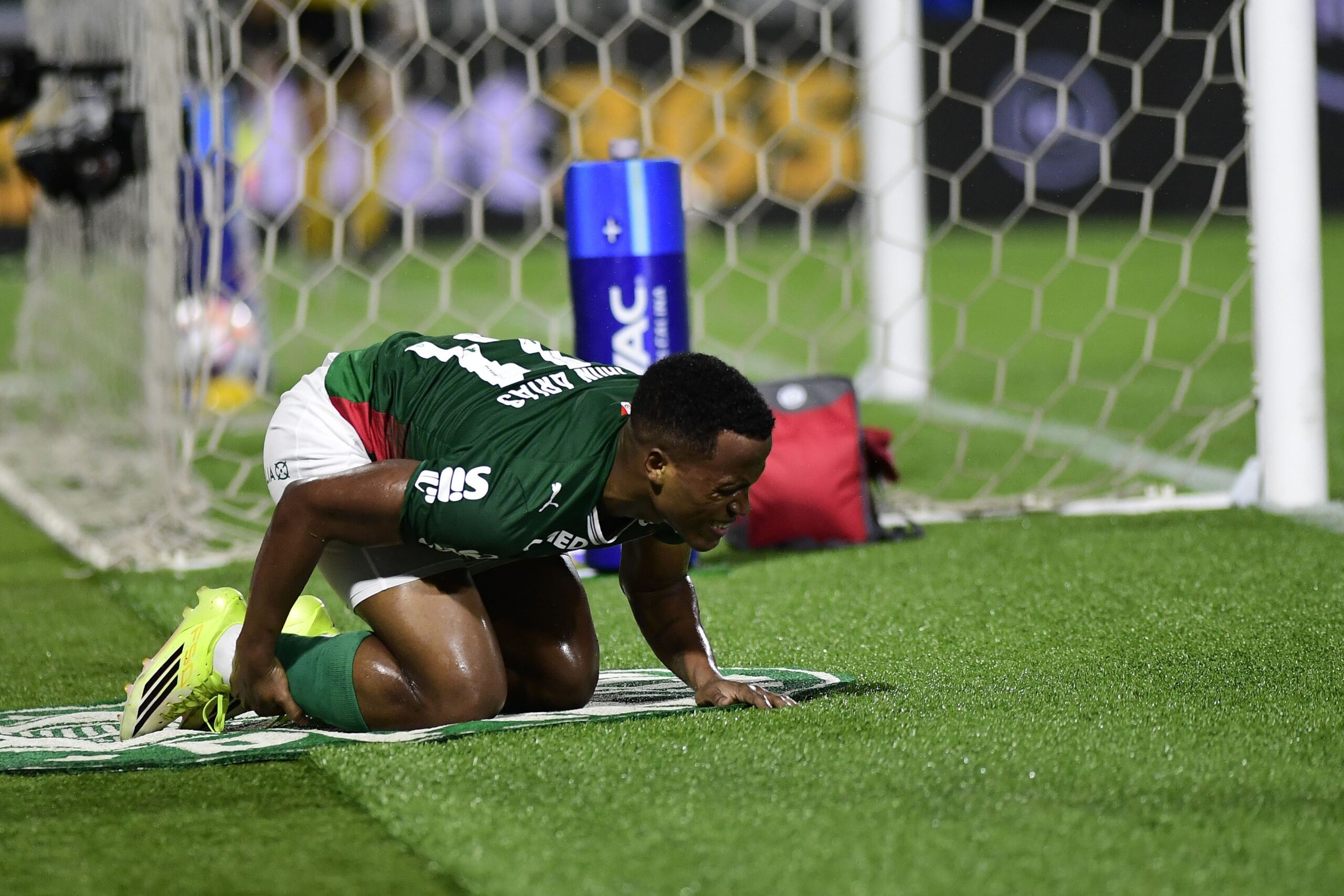 De ídolo a rival: Jhon Arias reencontra Fluminense apenas 18 dias após anúncio no Palmeiras
