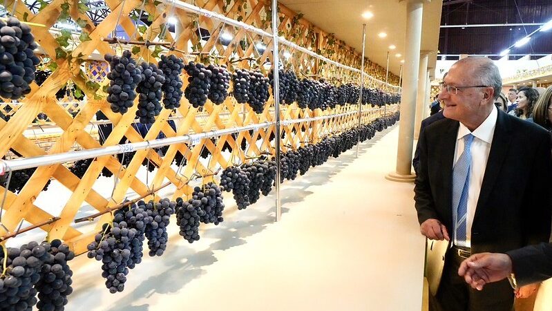 Reforma tributária: estudos apontam que carga sobre vinhos e espumantes deve cair para 33%, diz Alckmin