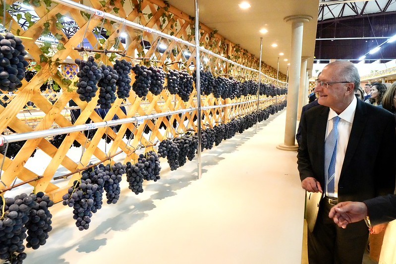 Reforma tributária: estudos apontam que carga sobre vinhos e espumantes deve cair para 33%, diz Alckmin