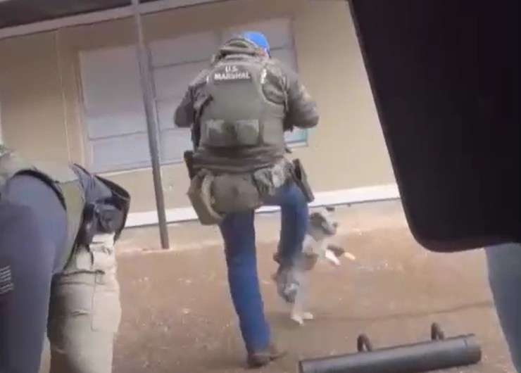 VÍDEO: agente federal chuta cachorro durante abordagem nos EUA