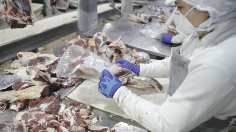 Carne bovina: com volume recorde em janeiro, cota de embarques da proteína do Brasil à China se esgota em setembro, projeta estudo da USP