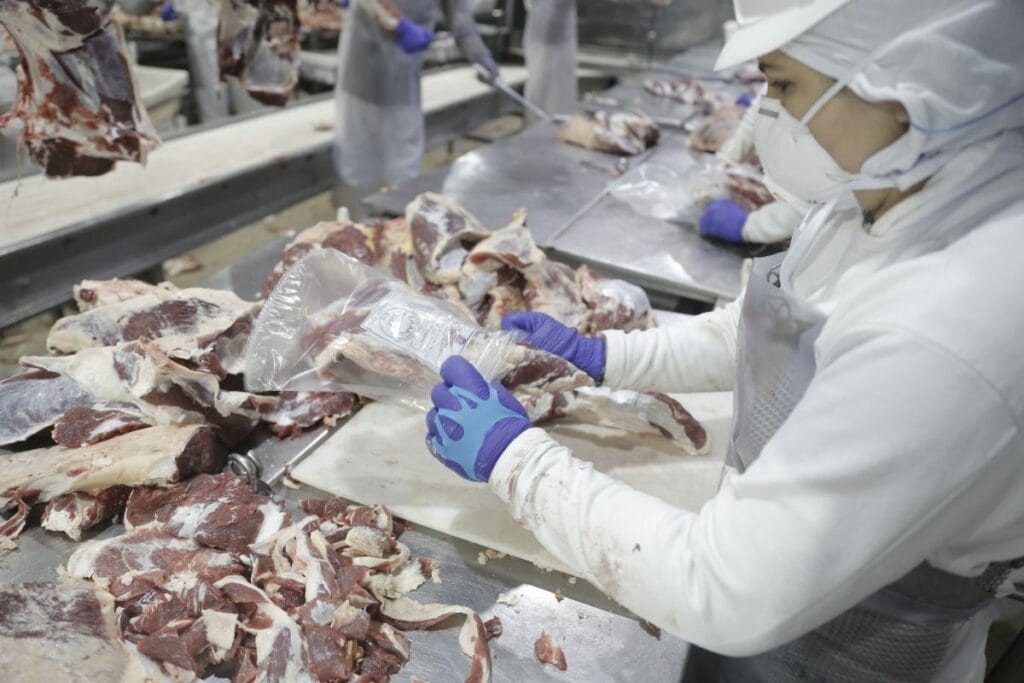 Carne bovina: com volume recorde em janeiro, cota de embarques da proteína do Brasil à China se esgota em setembro, projeta estudo da USP