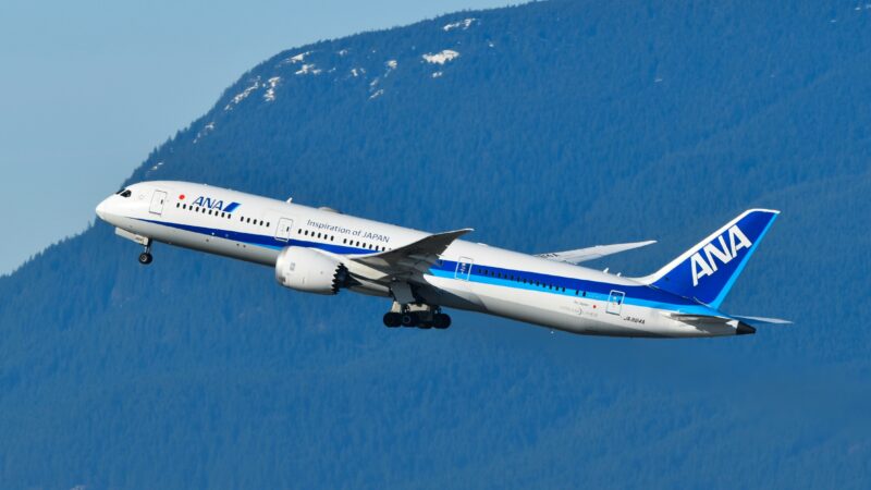 Companhia lançará classe executiva com cabine privativa e assento-cama no Japão; veja imagens