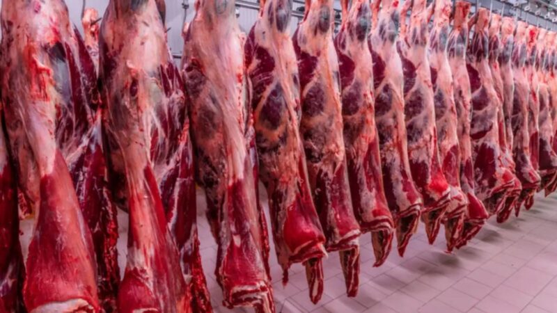 Brasil discute cotas por empresa para exportação de carne bovina à China, para evitar uma ‘corrida desenfreada’