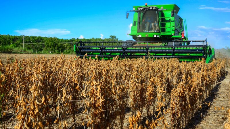 No ano do tarifaço de Trump, pedidos de falência de agricultores crescem quase 50% em 2025 nos EUA