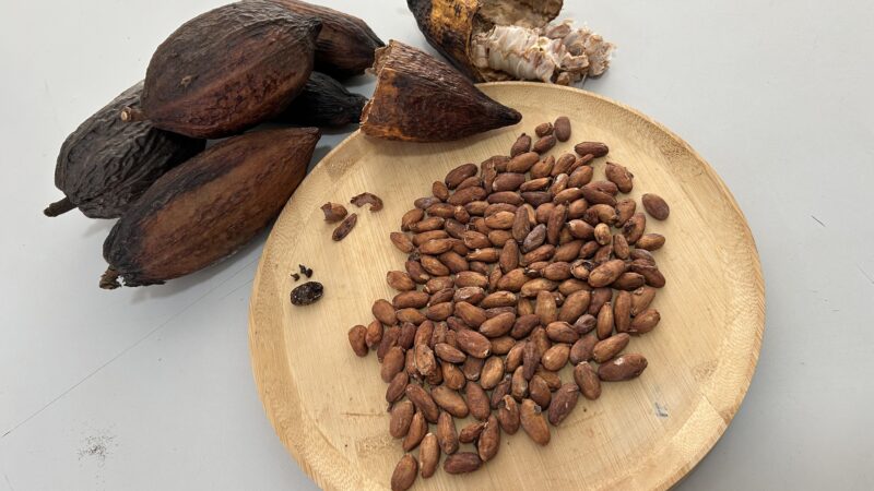 Governo suspende temporariamente importação de cacau da Costa do Marfim, maior fornecedor para o Brasil