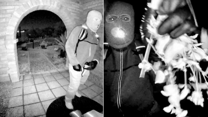 Nancy Guthrie: polícia detém pessoa para interrogatório sobre sequestro de mãe de apresentadora, diz TV