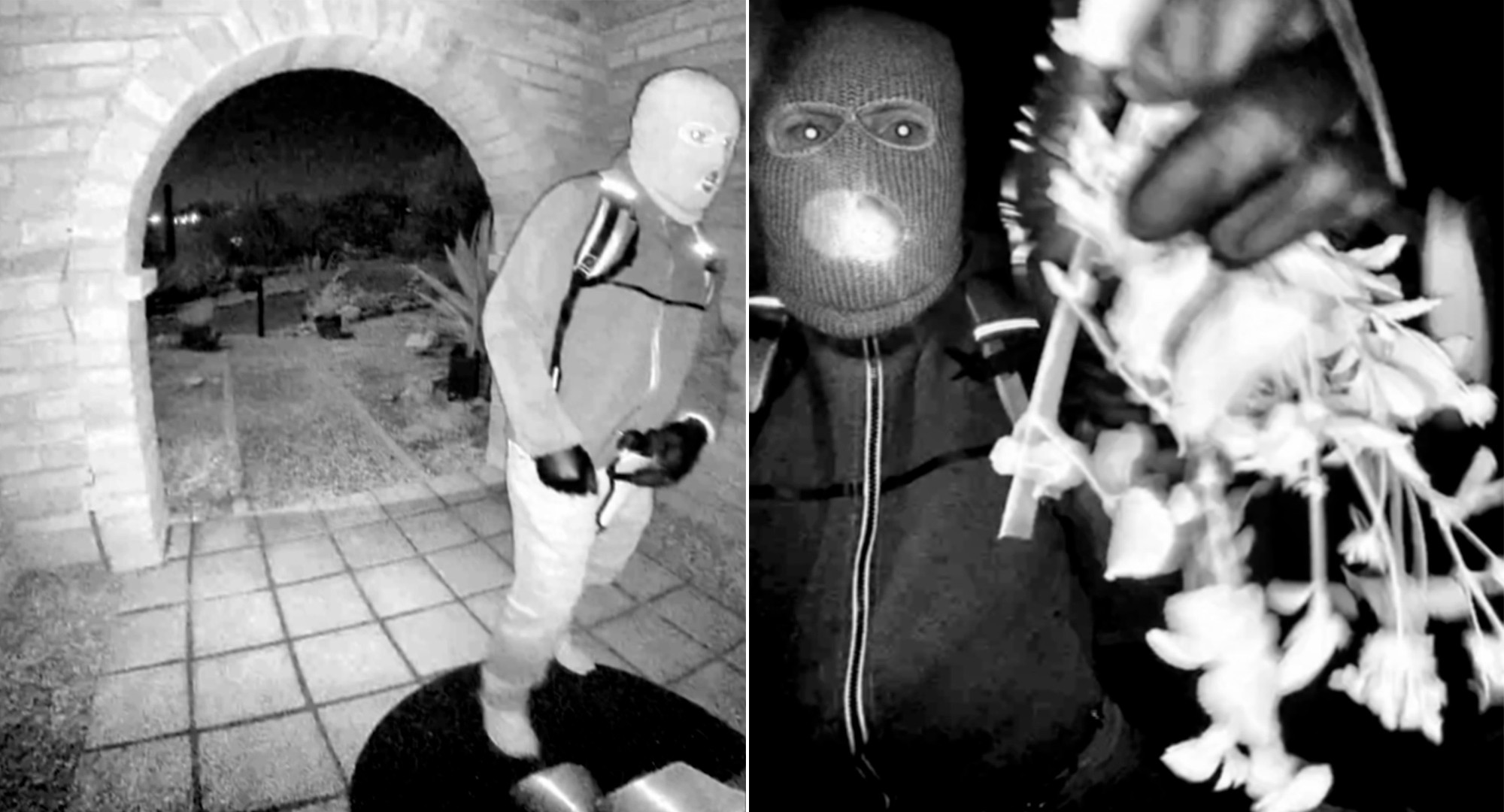 Nancy Guthrie: polícia detém pessoa para interrogatório sobre sequestro de mãe de apresentadora, diz TV