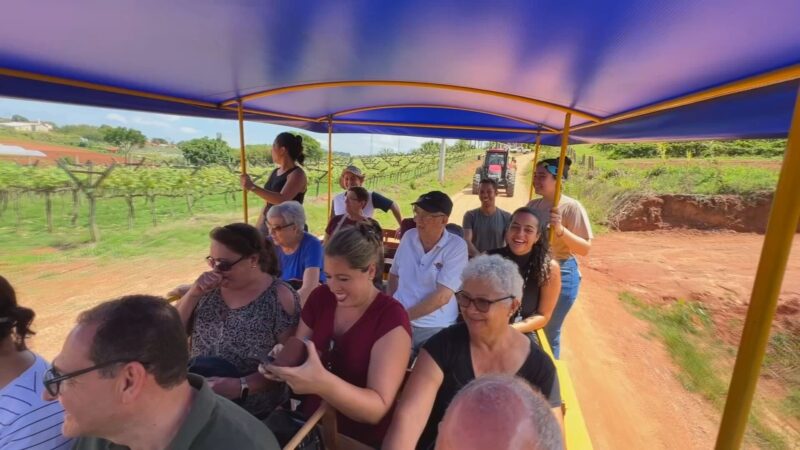 Turismo rural encanta quem é da cidade e gera renda no campo