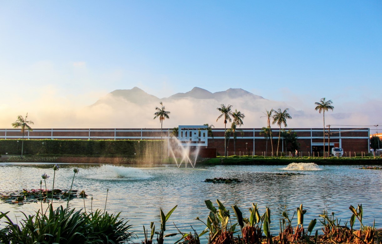 ‘Fábrica de bilionários’ de SC investe em indústria de baterias para armazenar energia renovável; entenda