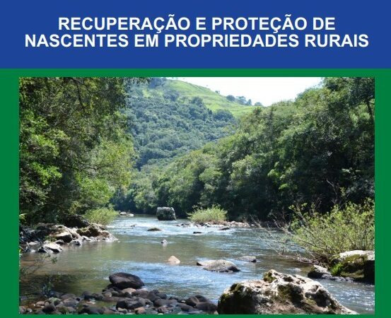Veja dicas de como recuperar nascentes em propriedades rurais