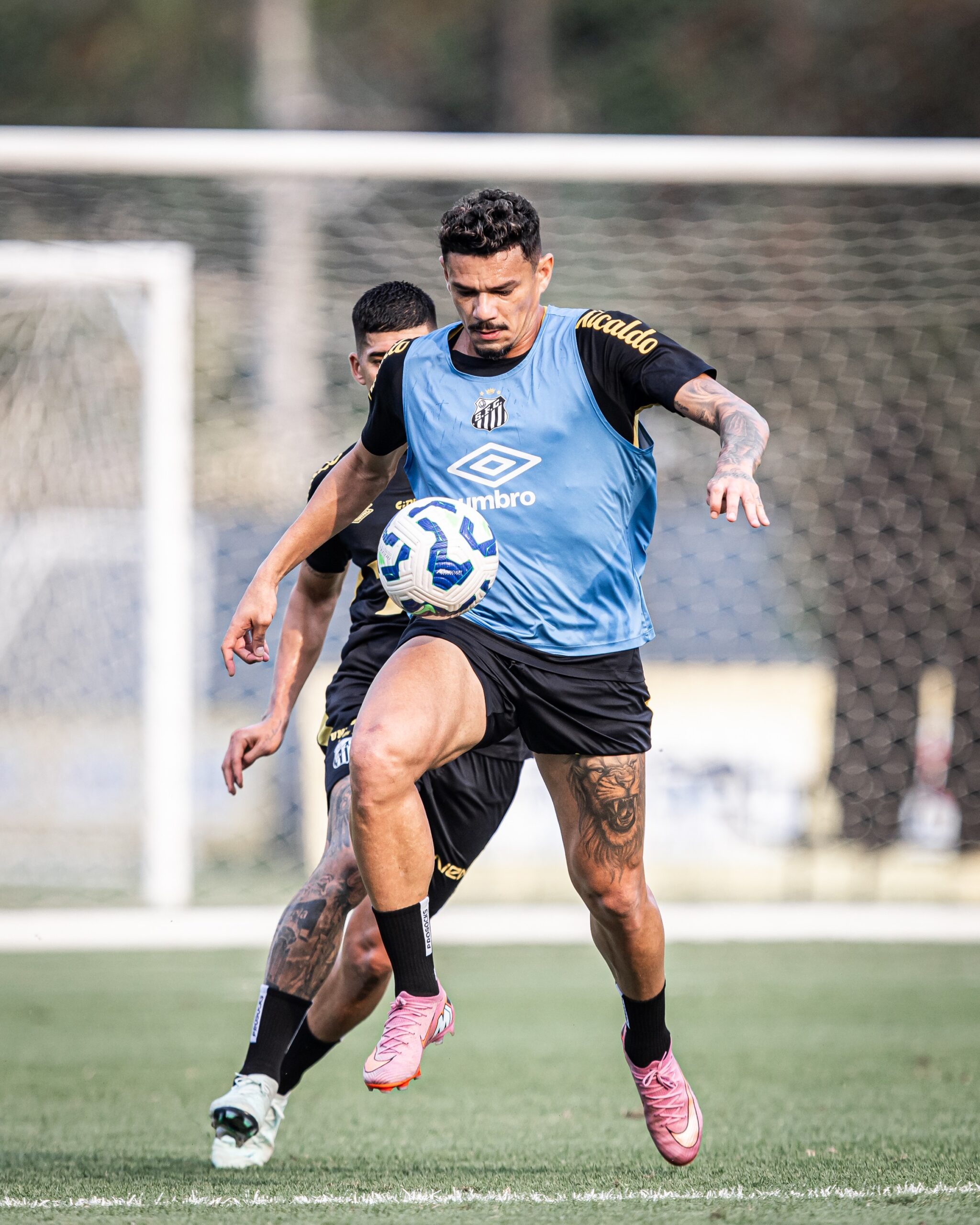 Tiquinho Soares recusa propostas e deve seguir no Santos em 2026