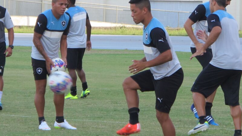 Lembra dele? Meia campeão da Série B pelo Botafogo acerta com time treinado por Lúcio Flávio em MG