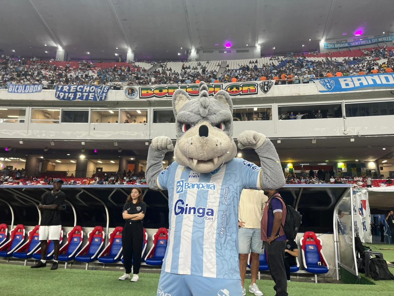 Com compromisso dar ao time uma “nova estrela”, Paysandu anuncia patrocinador