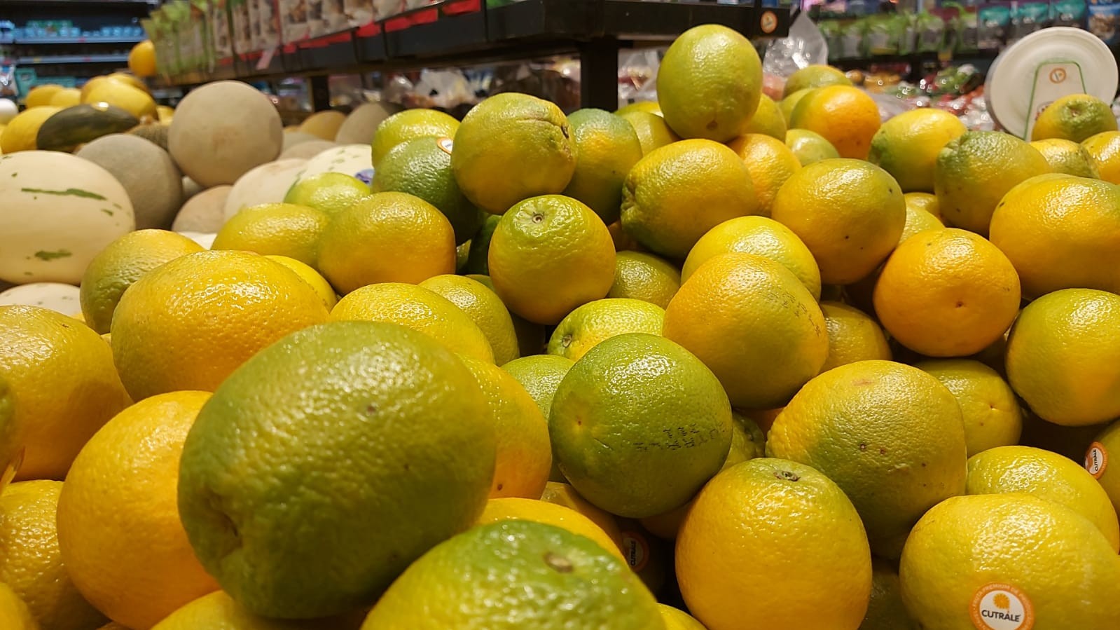Laranja: chuvas derrubam qualidade das frutas e esfriam mercado paulista em janeiro, analisa USP