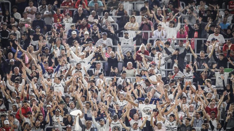 Bragantino x Botafogo: dicas, palpites e chances no Brasileirão