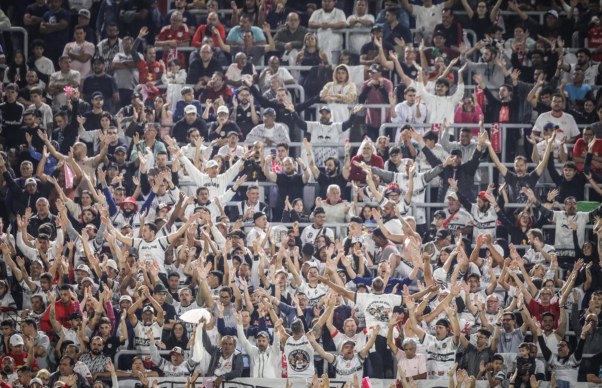 Bragantino x Botafogo: dicas, palpites e chances no Brasileirão