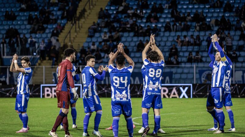 O desempenho do Avaí nas últimas 10 edições de Série B do Brasileiro