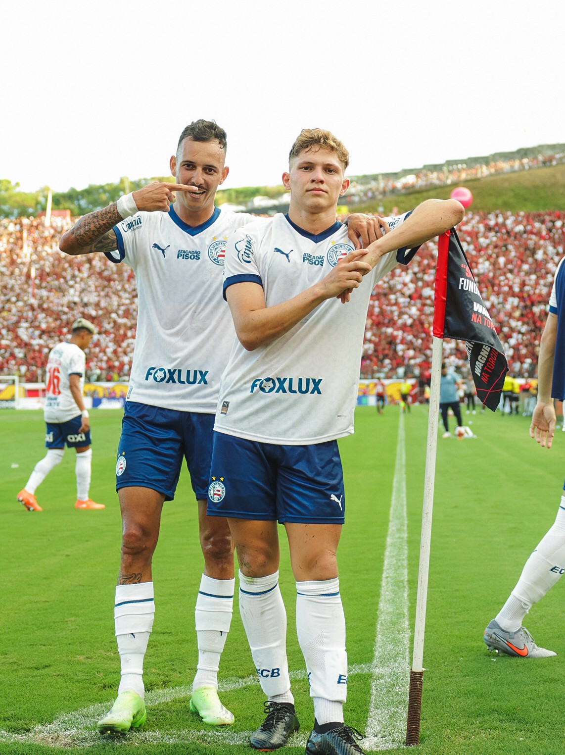 Rotação do Bahia encurta após estadual e queda na Libertadores; veja quem perdeu espaço