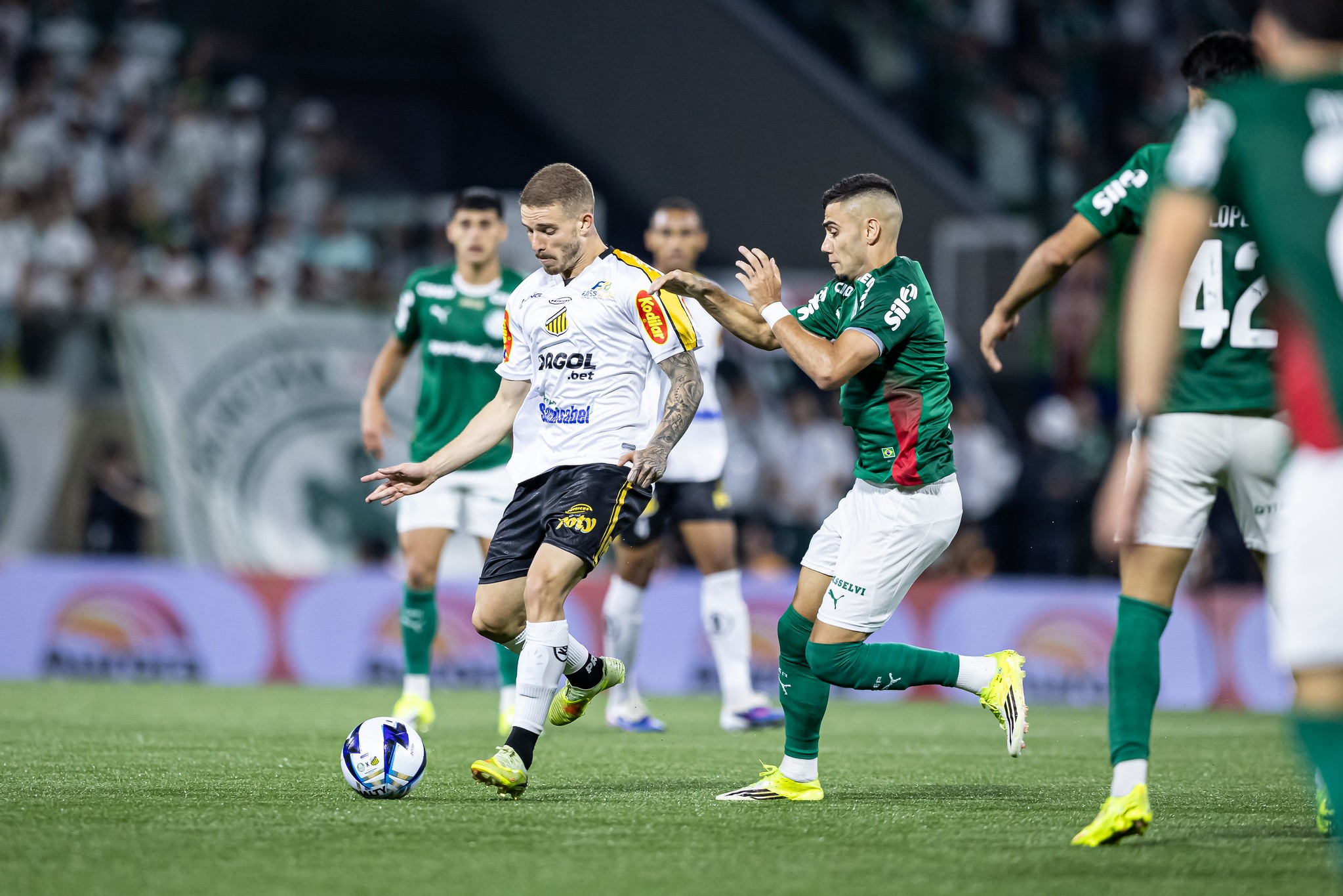 Léo Naldi pede Novorizontino “propondo jogo” contra o Palmeiras na final do Paulistão