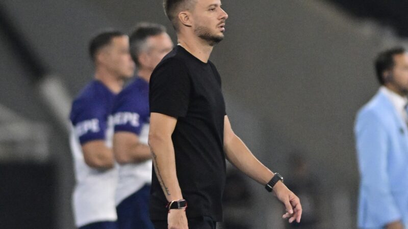 Anselmi diz entender críticas da torcida do Botafogo: “Sou burro porque perdemos”