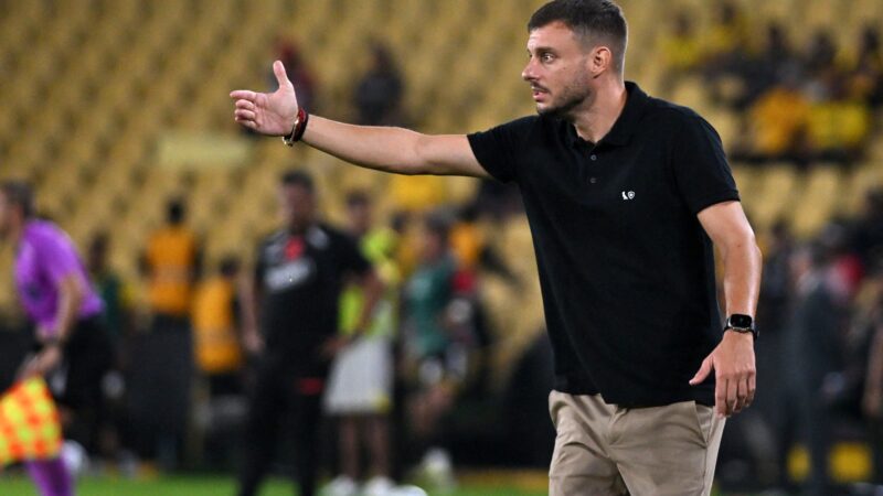 Botafogo relata que Anselmi é atingido por pedra de gelo em estádio do Barcelona de Guayaquil