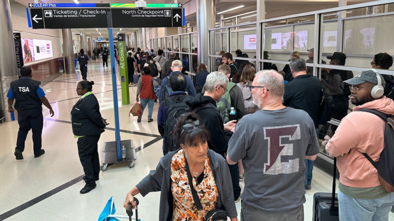 Agentes do ICE começam a patrulhar aeroportos dos EUA, diz governo Trump