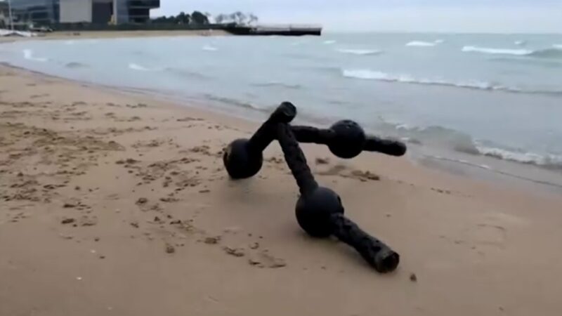 ‘Metamáquinas’: robôs ‘diferentões’ criados com IA continuam funcionando mesmo após danos