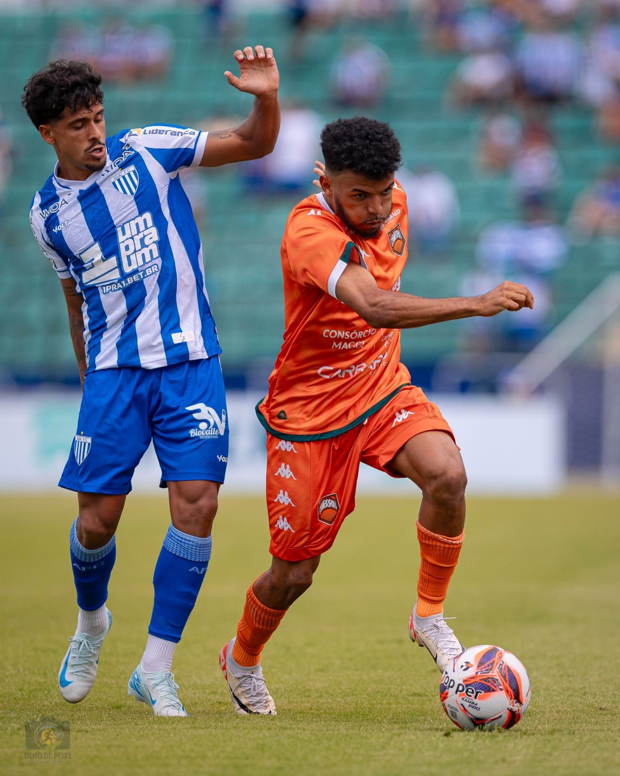 Avaí e Figueirense acumulam decepções neste começo de ano