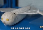 Como funciona o novo drone chinês que voa batendo asas como um pássaro