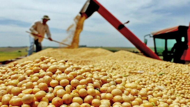 Cargas de soja para exportação foram devolvidas após novas exigências da China, dizem pesquisadores