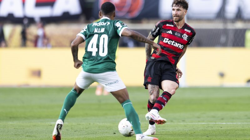 Palmeiras e Flamengo… eles de novo