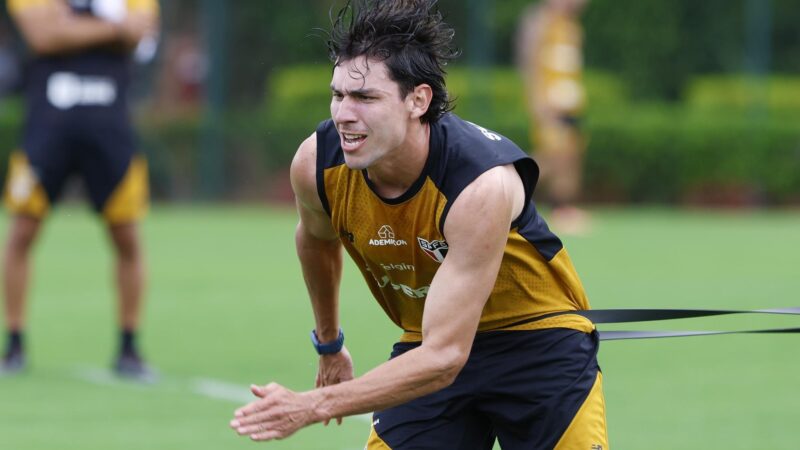 Botafogo anuncia a contratação do zagueiro Ferraresi