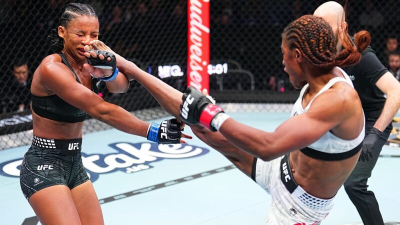 UFC: brasileiros têm noite ruim e saem de evento em Londres sem vitórias