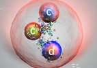 Xi-cc-plus: Cientistas europeus anunciam descoberta de nova partícula