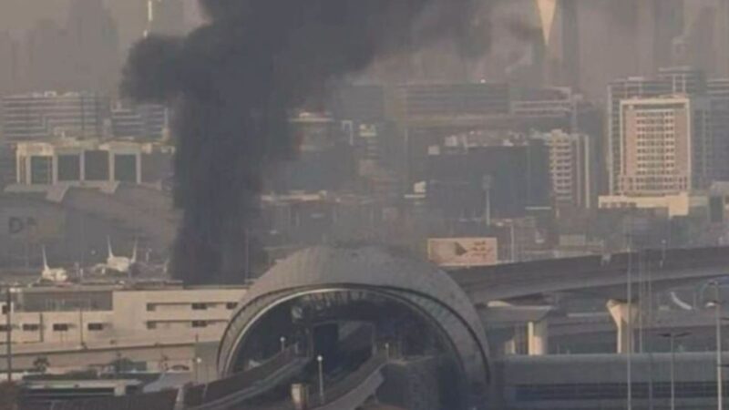 #NÃO É BEM ASSIM: Guerra no Irã causou abandono de pets, mas vídeo de gato sozinho em apartamento de Dubai é de janeiro