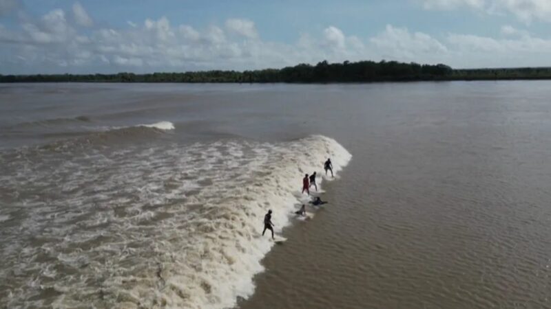 São Domingos do Capim recebe Festival Internacional de Pororoca em abril