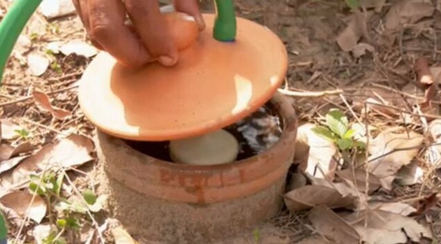 Sistema simples com potes de barro ajuda agricultores a driblar seca no Pará; veja como funciona