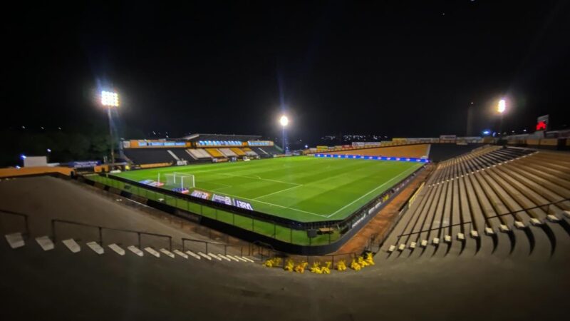 Novorizontino x Palmeiras: onde assistir ao vivo, horário e escalações