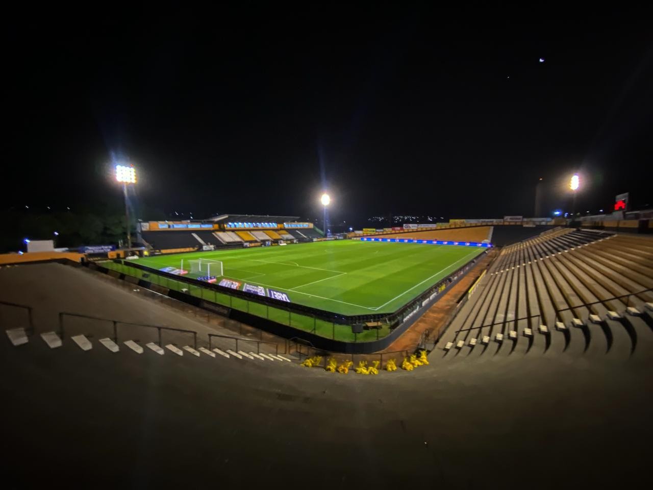 Novorizontino x Palmeiras: onde assistir ao vivo, horário e escalações