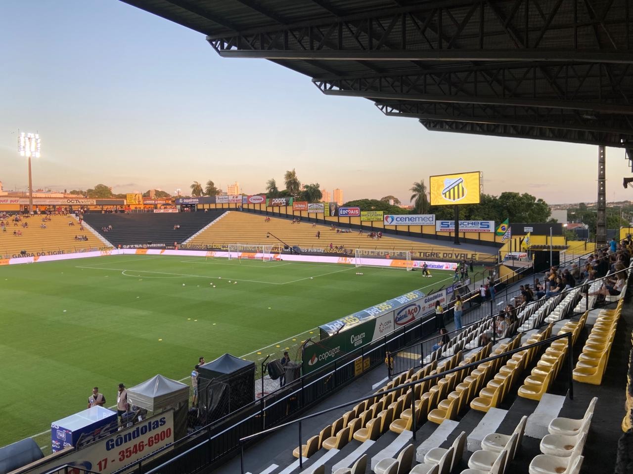Novorizontino x Palmeiras: veja ordem dos jogos da final do Paulistão