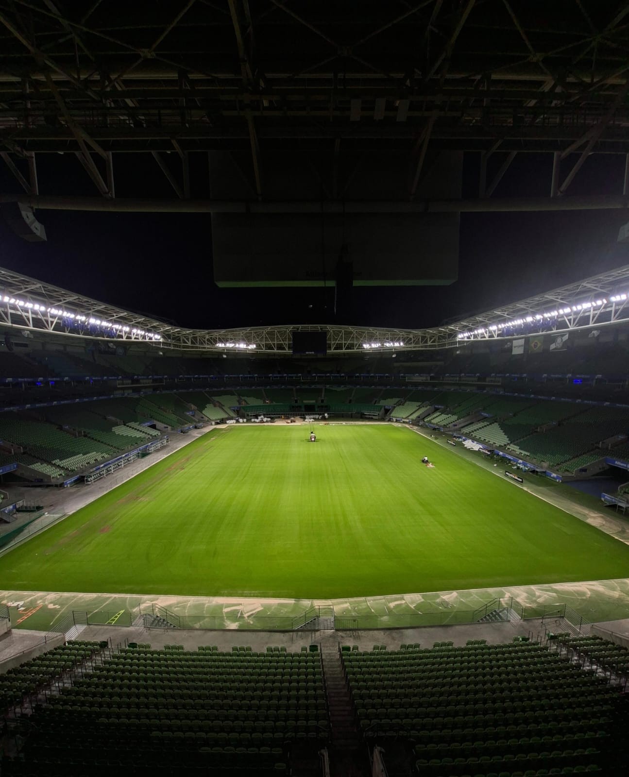 Allianz Parque faz força-tarefa para finalizar gramado, mas Palmeiras vê volta em final como difícil