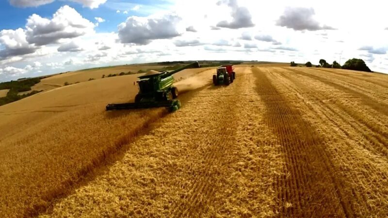 Cargill suspende exportação de soja do Brasil à China após mudança em inspeção