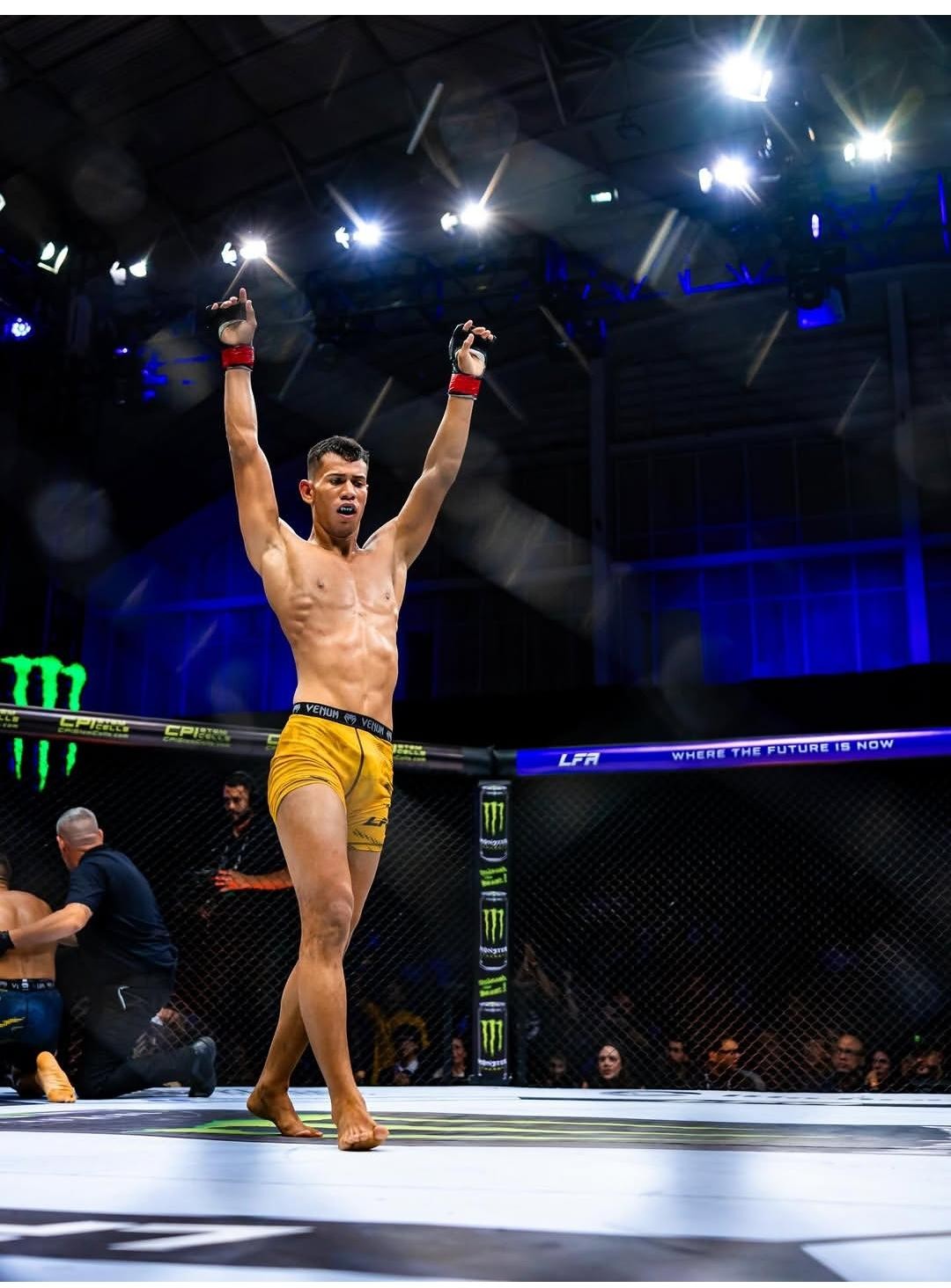 LFA 229: amapaense Richard ‘Espeto’ Silva vence por finalização