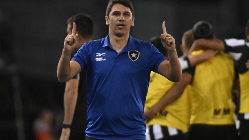 Ex-Botafogo, Lucio Flávio assume time da Série D