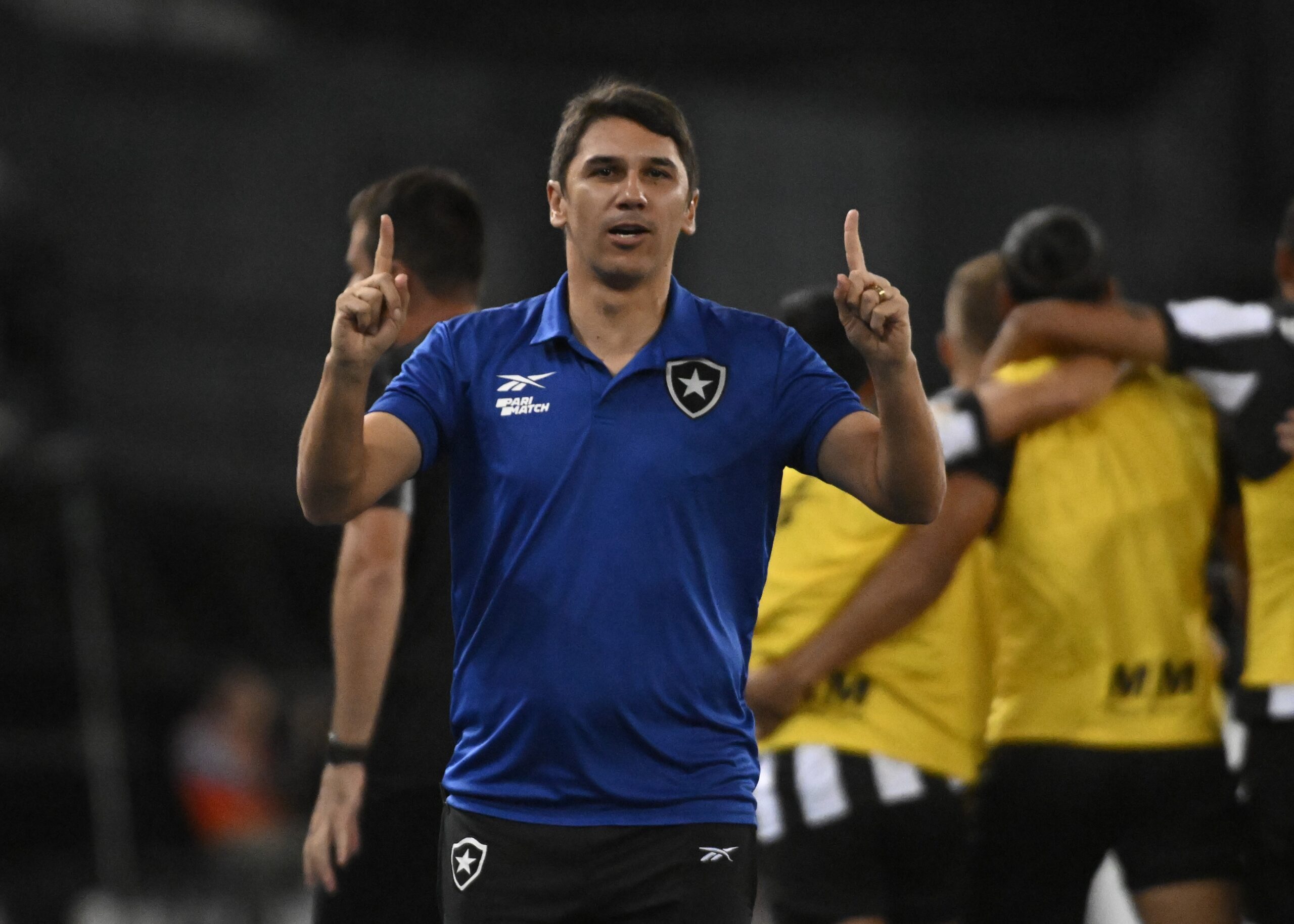 Ex-Botafogo, Lucio Flávio assume time da Série D