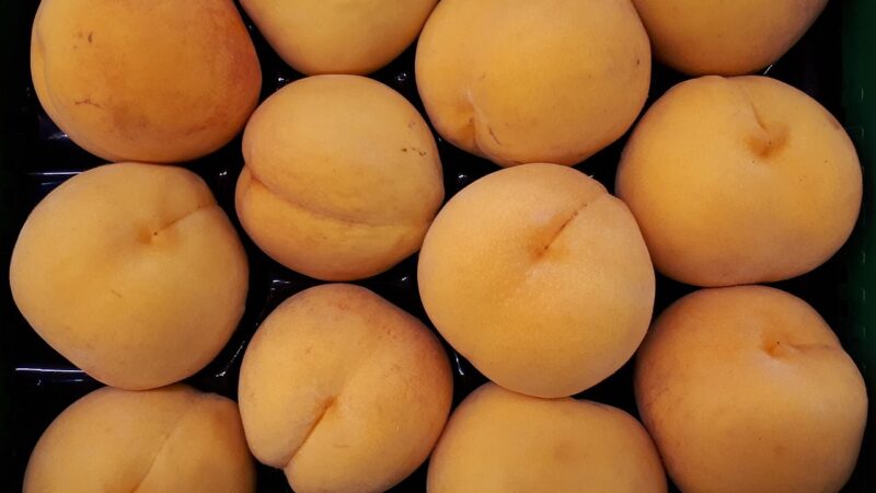 Três frutas brasileiras aparecem em ranking das 100 melhores do mundo; veja quais