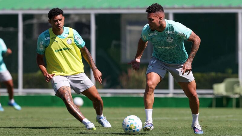 Palmeiras se reapresenta de olho na estreia na Copa do Brasil; Jefté e Paulinho participam de coletivo