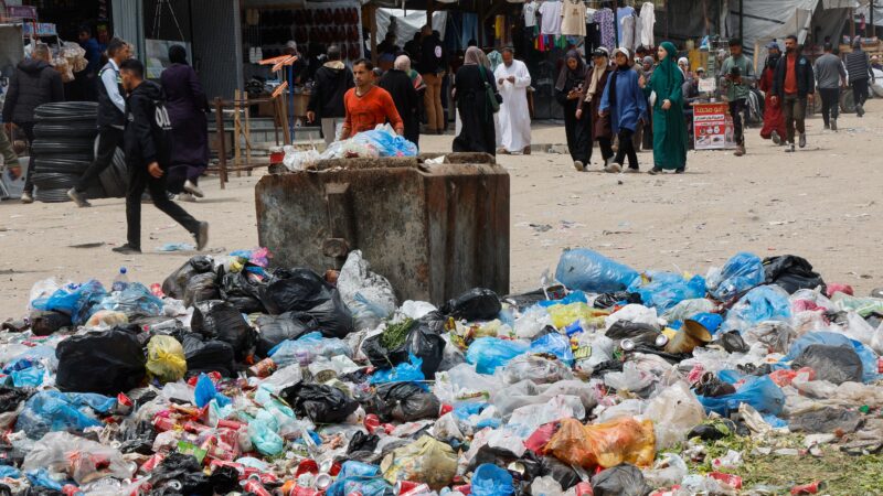 Infestação em Gaza: ratos mordem crianças, espalham doenças e destroem até vestido de noiva