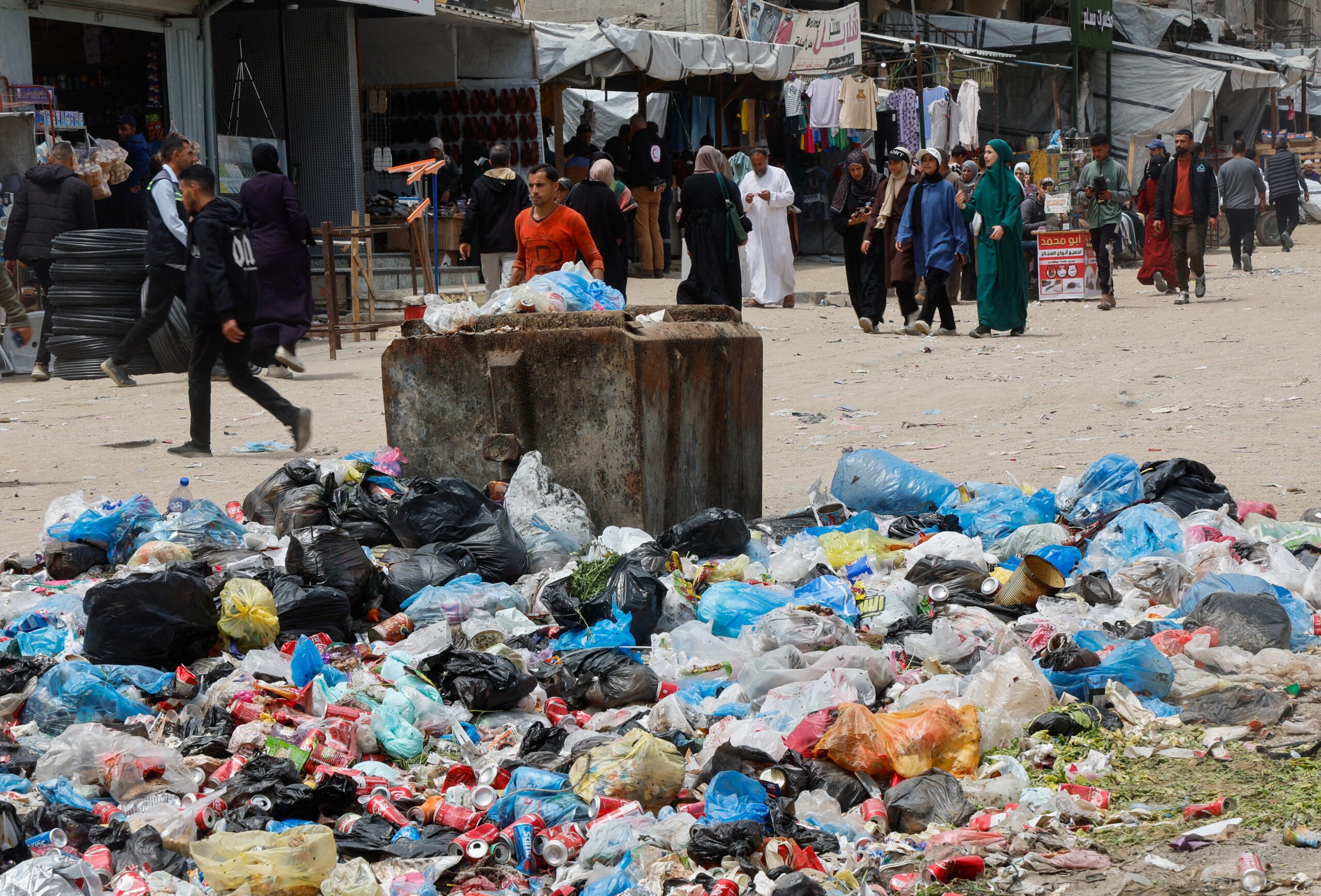 Infestação em Gaza: ratos mordem crianças, espalham doenças e destroem até vestido de noiva
